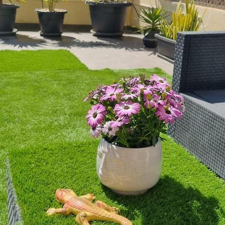 La Zenia Sabrina Apartment 5 أوريويلا المظهر الخارجي الصورة