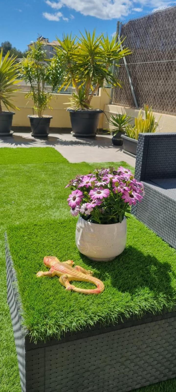 La Zenia Sabrina Apartment 5 أوريويلا المظهر الخارجي الصورة